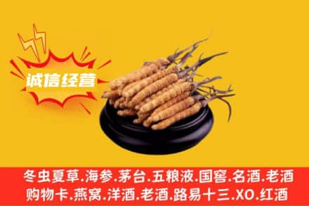 岑巩县回收冬虫夏草